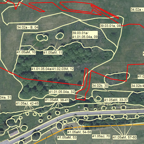 Erstellung von naturschutzfachlichen Planunterlagen für US Army Standorte in Deutschland