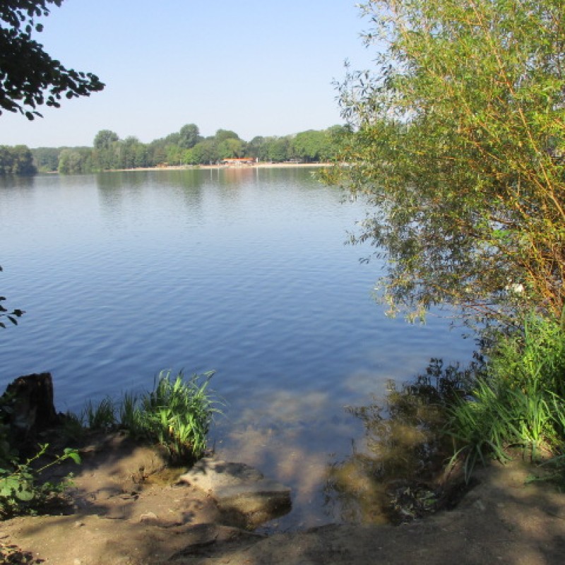 Besucherlenkungskonzept mit dem Schwerpunkt Ökologie/Naturschutz für die 6-Seen-Platte in Duisburg-Wedau