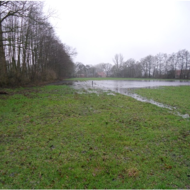 Umweltbaubegleitung Loop Epe – Legden